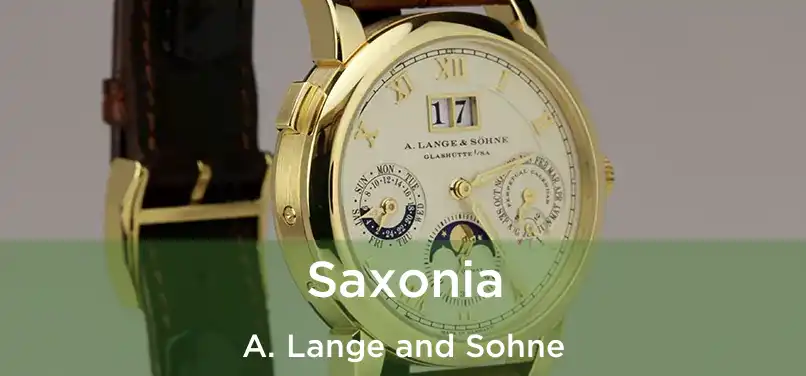  Saxonia A. Lange and Sohne