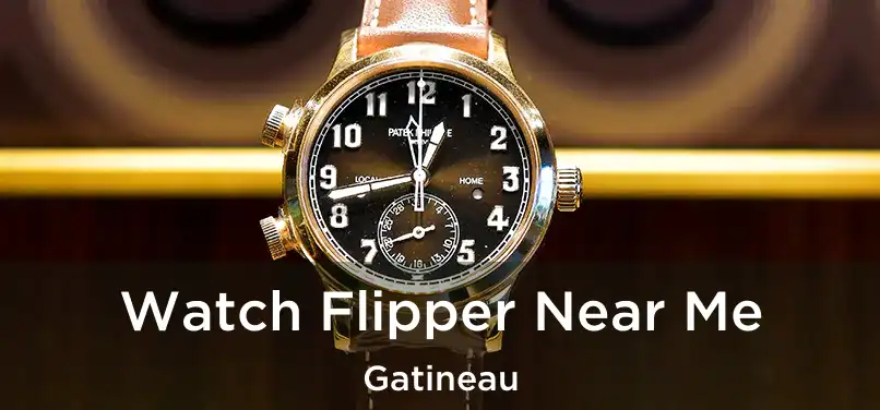  Watch Flipper Near Me Gatineau